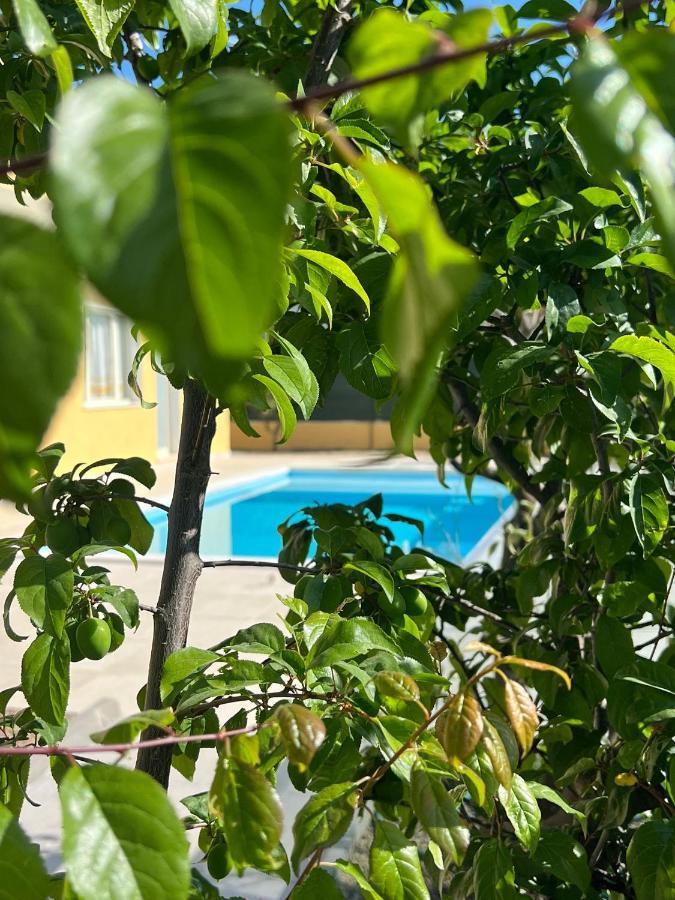 Casa Vacanze Mare Fuori Capoterra Buitenkant foto